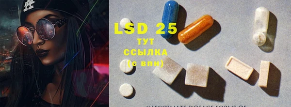 стафф Елабуга