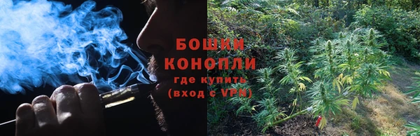 ешки Ельня
