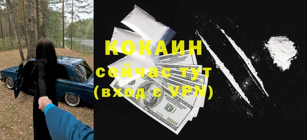 ешки Ельня
