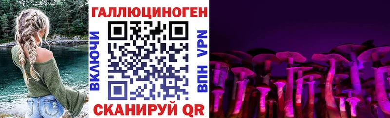 кракен сайт  Ростов  Псилоцибиновые грибы Magic Shrooms 